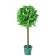 Artificial Potted Bay Green - 3 ft