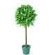 Artificial Potted Bay Green - 4 ft